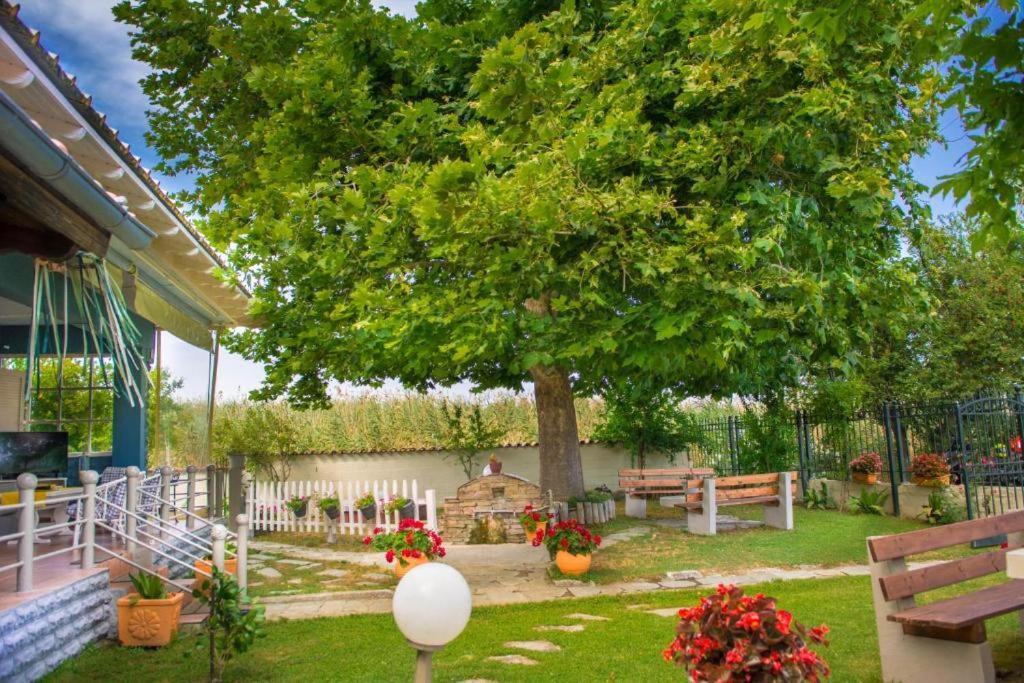 Seaside Cottage Παραλία Εξωτερικό φωτογραφία